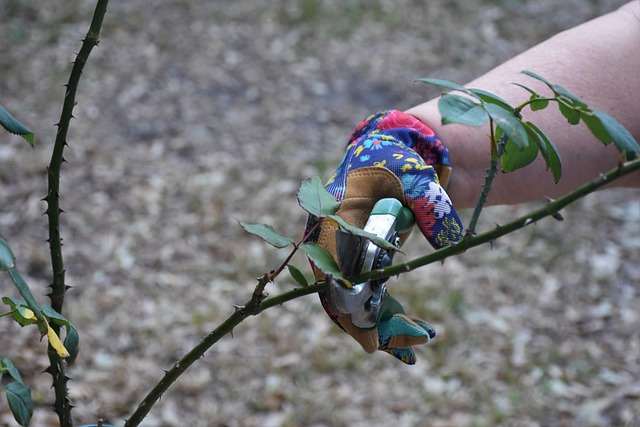 landscaping