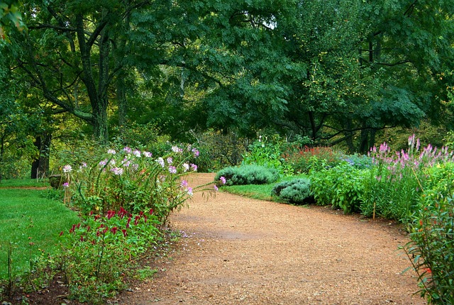 Navigating Portland’s Landscape: Expert Contractors & Services