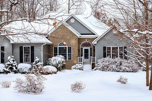 landscaping-640x480-247630.jpeg