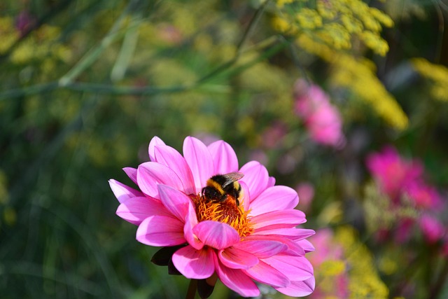landscaping-640x480-26163684.jpeg