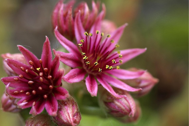 landscaping-640x480-27654891.jpeg
