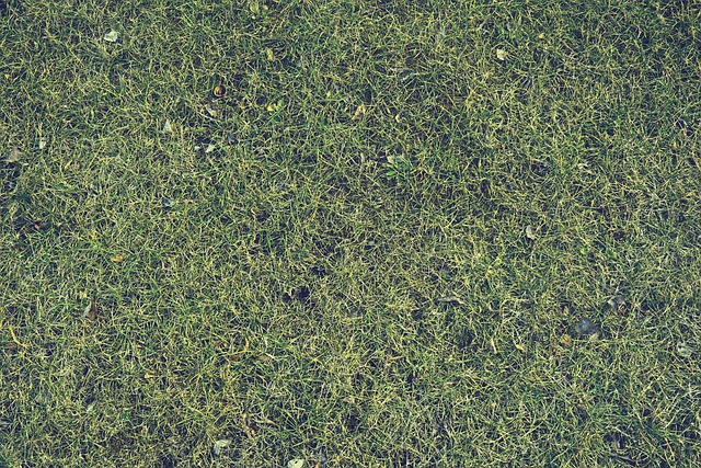 landscaping-640x480-31897294.jpeg