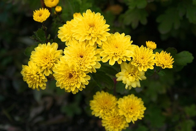 landscaping-640x480-32370954.jpeg