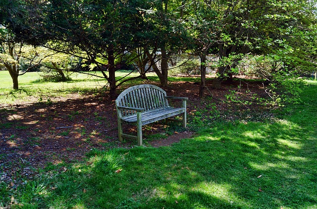 landscaping-640x480-33754848.jpeg