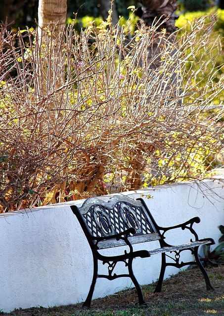 landscaping-640x480-36597781.jpeg