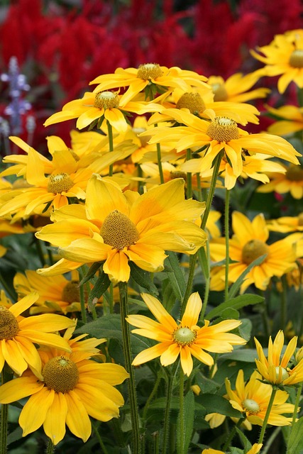 landscaping-640x480-38856282.jpeg