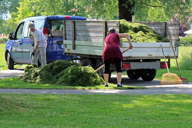 landscaping-640x480-39677725.jpeg