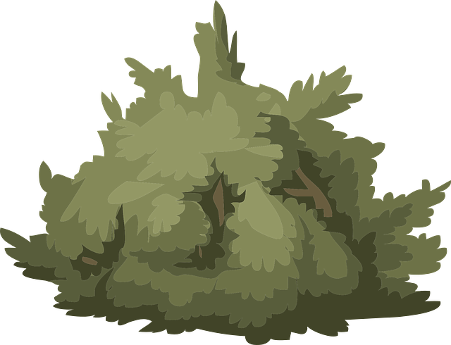landscaping-640x480-4186346.png