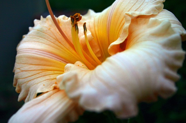 landscaping-640x480-43520730.jpeg