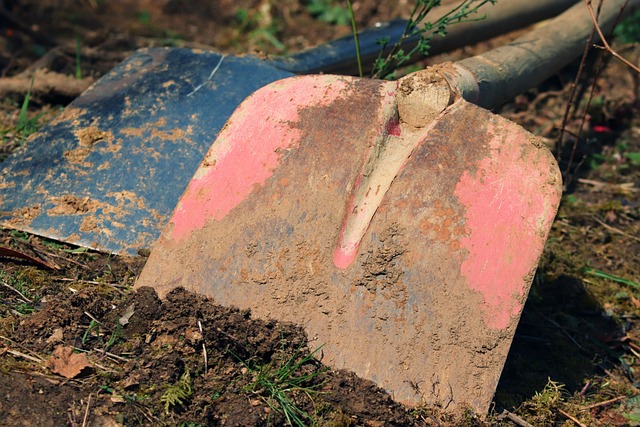 landscaping-640x480-5107108.jpeg