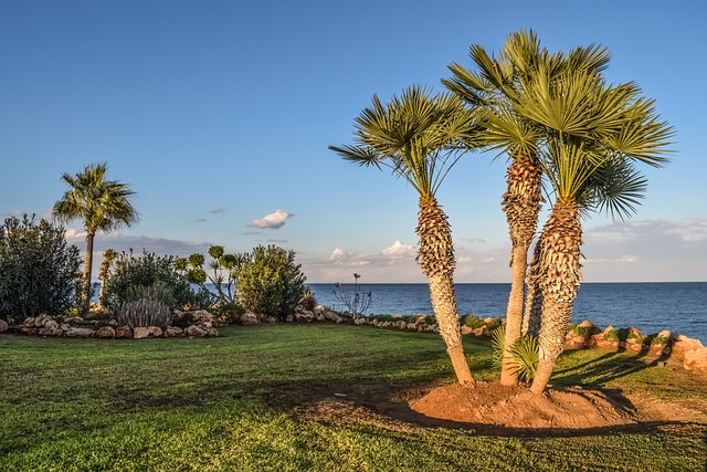 landscaping