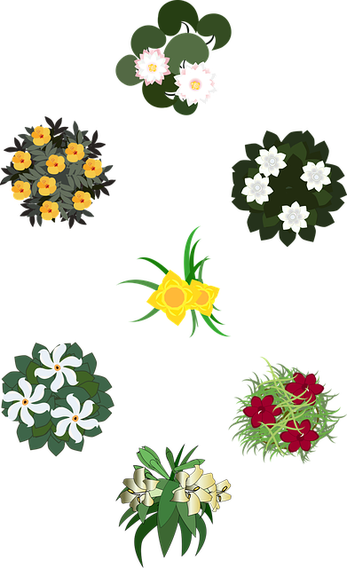 landscaping-640x480-53415733.png