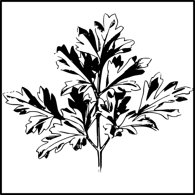 landscaping-640x480-56229993.png