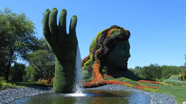 landscaping