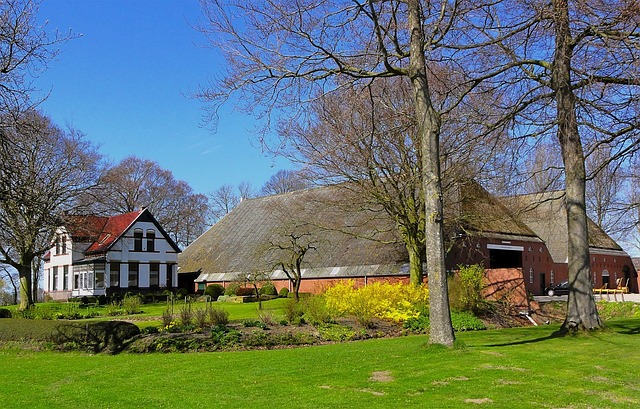 landscaping