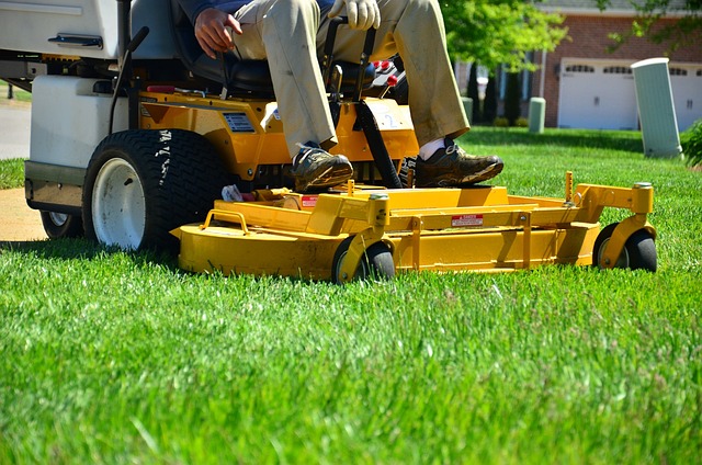 landscaping
