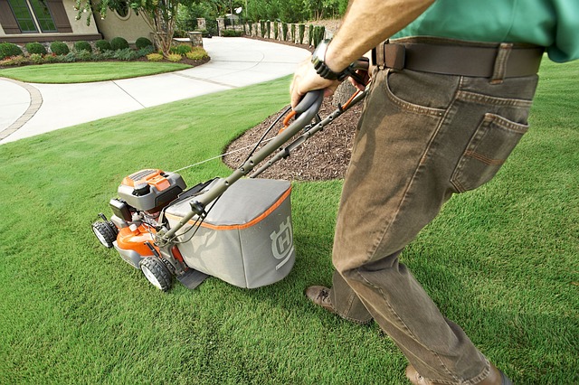 landscaping