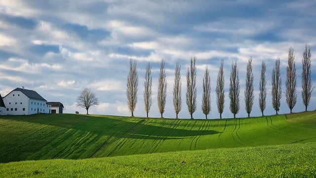 landscaping-640x480-78626776.jpeg
