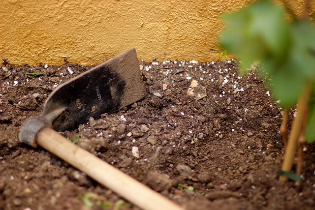 landscaping-640x480-78899471.jpeg