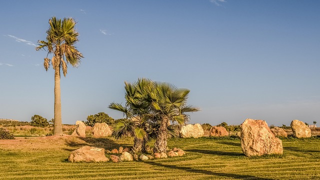 landscaping-640x480-79147831.jpeg