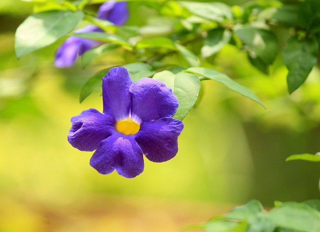 landscaping-640x480-83242785.jpeg