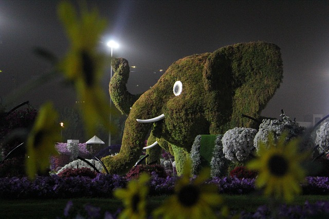 landscaping-640x480-8794311.jpeg