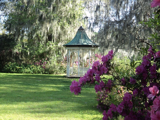 landscaping-640x480-91048915.jpeg