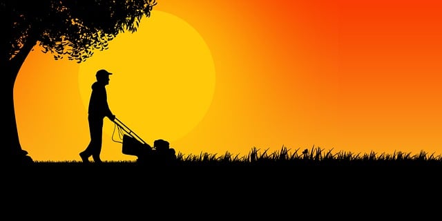 lawn