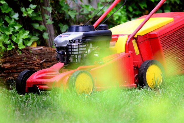 lawn-640x480-13915053.jpeg