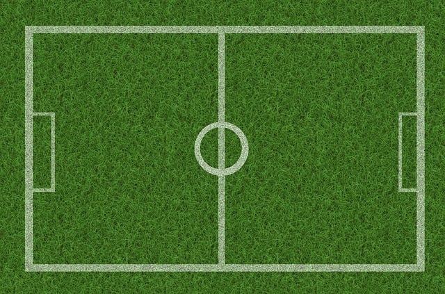 lawn