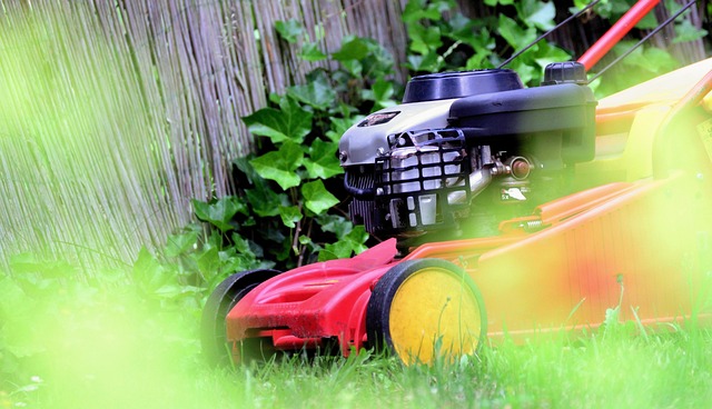 lawn-640x480-17939937.jpeg