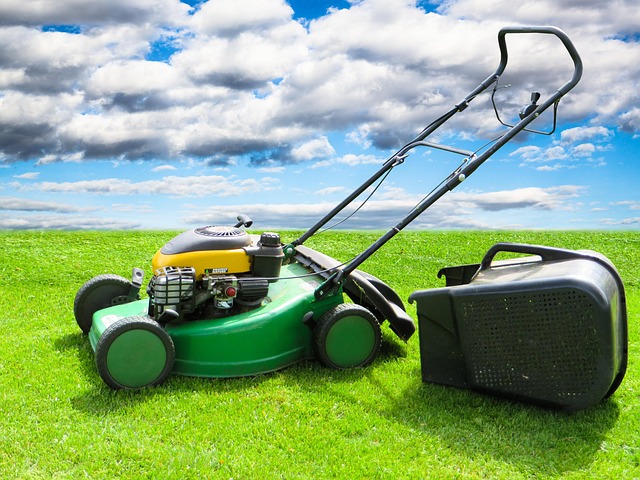 lawn
