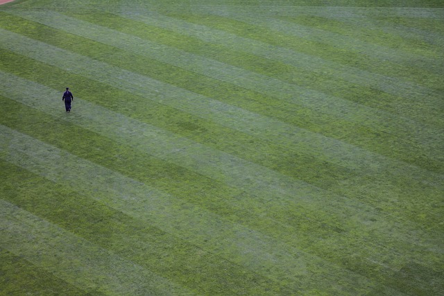 lawn