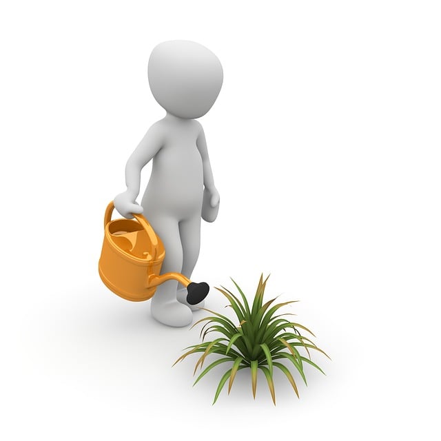 Mastering Sod Lawn Installation in Portland: A Comprehensive Guide