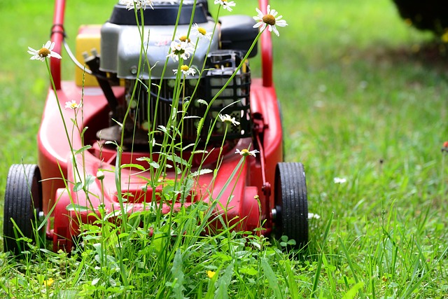 lawn