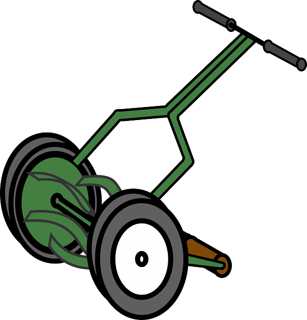 lawn