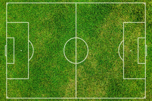 lawn