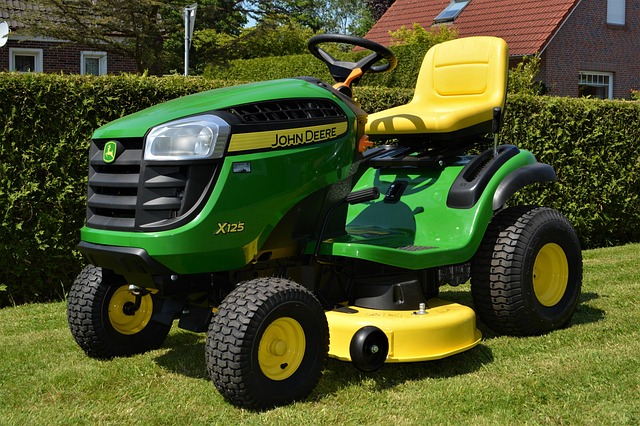 lawn