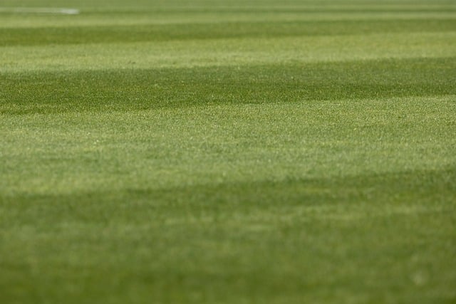 lawn