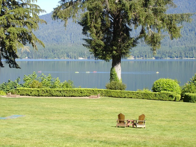 lawn