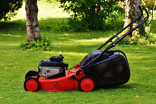 lawn