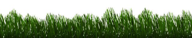 lawn-640x480-79295634.png