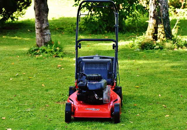 lawn