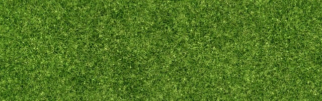 lawn