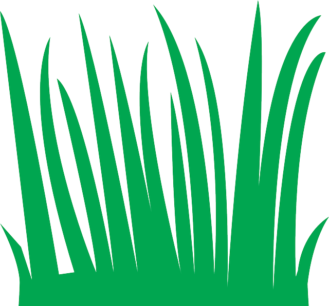 lawn