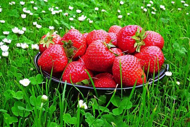 lawn-640x480-85351932.jpeg