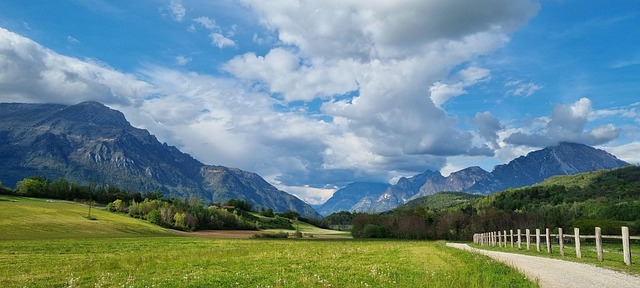 lawn
