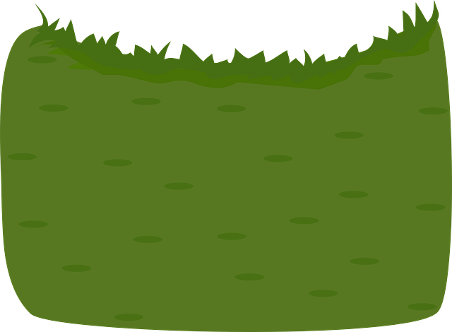 lawn