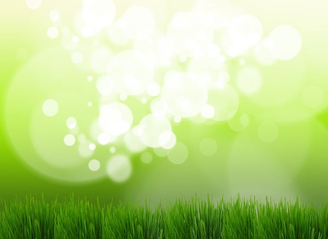 lawn