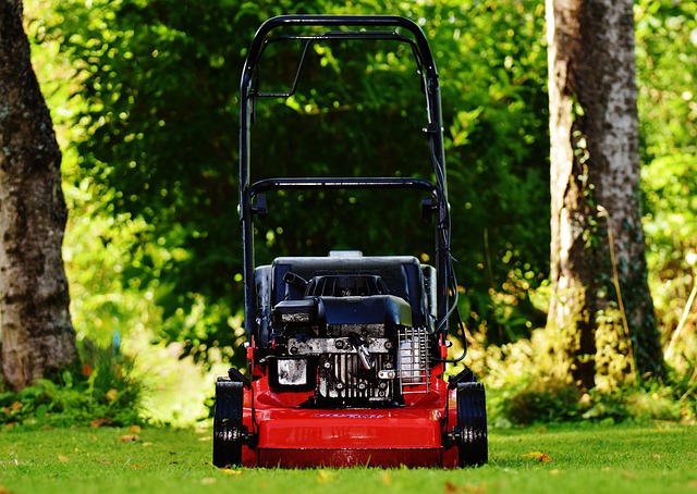 lawn